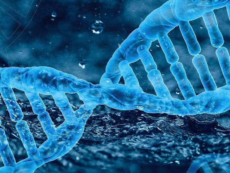 Revoluční objev o lidské DNA a kvantovém poli Revoluční objev o lidské DNA a kvantovém poli