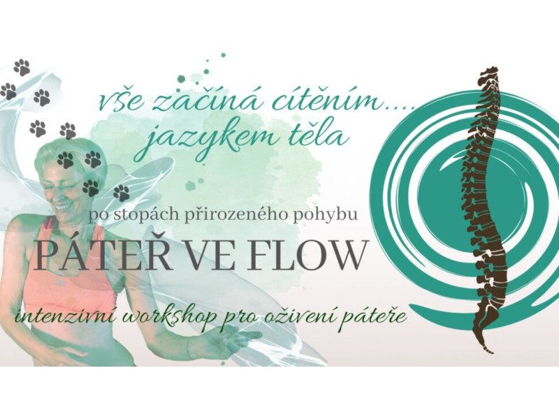 Páteř ve flow aneb Po stopách přirozeného pohybu Páteř ve flow aneb Po stopách přirozeného pohybu