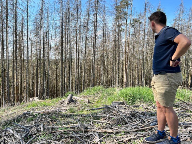 Každý může zasadit strom. Jde to i bez rýče! Každý může zasadit strom. Jde to i bez rýče!