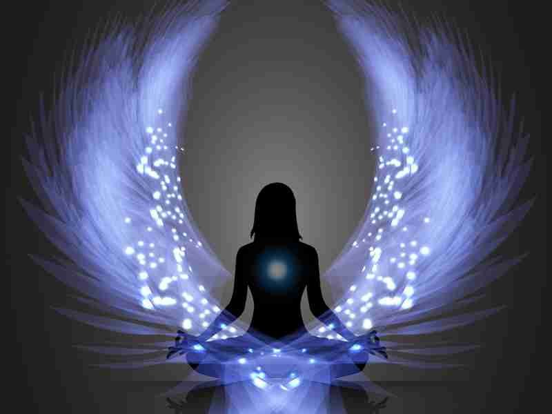       
          Víte, že někteří z vás už komunikují s Tamarinou? A že můžete i vy?
      